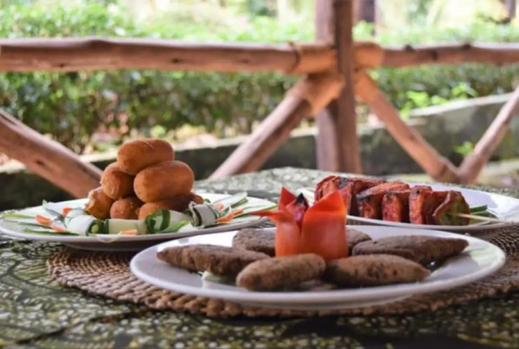 Chanya Lodge