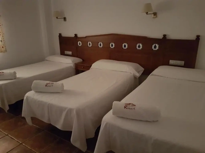 Standard Twin room with balcony and with view