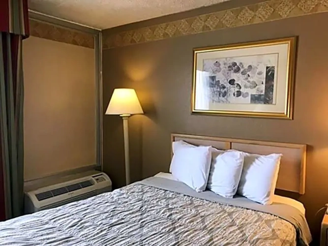 Standard Single room