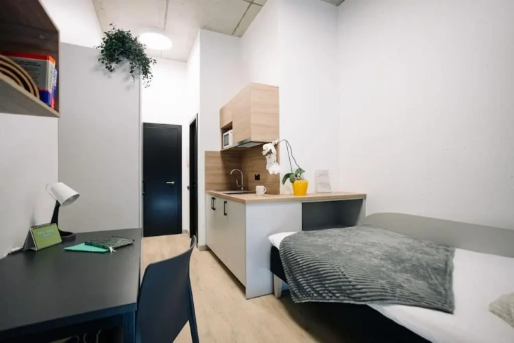 1 Bedroom Apartment