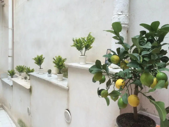 Vespa B&B