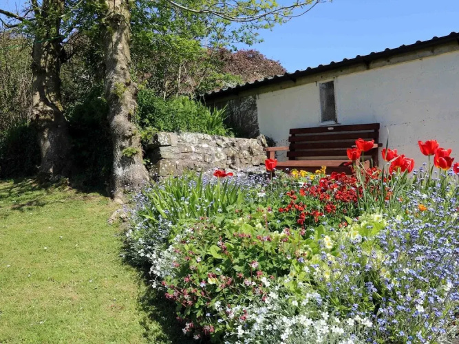 The Cottage