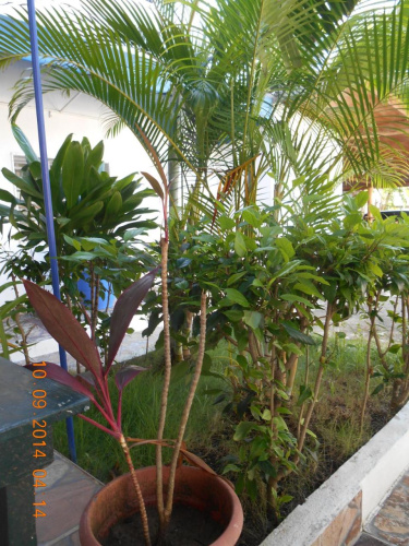 Lucy Rooms