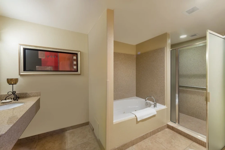 Luxury Suite