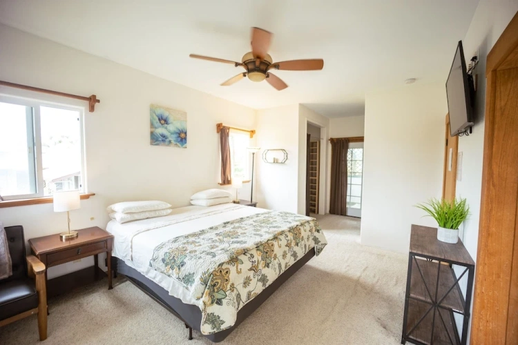 Standard Double Suite with garden view