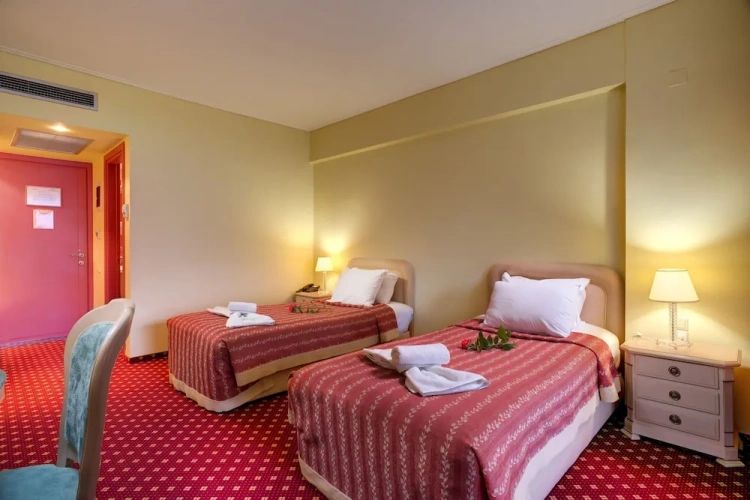 Standard Twin room with balcony and with mountain view
