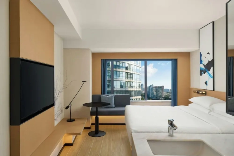 Standard Double room with city view