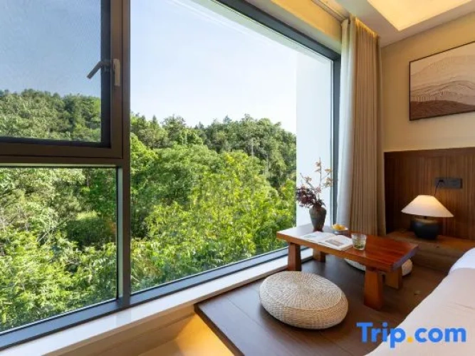 Standard room with view