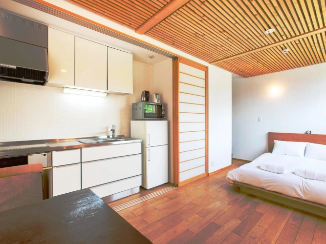 1 Bedroom Apartment