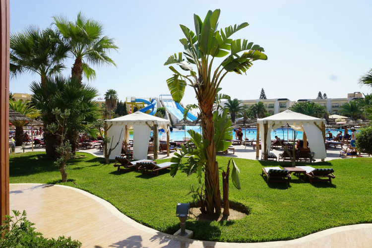 Soviva Resort photo 16