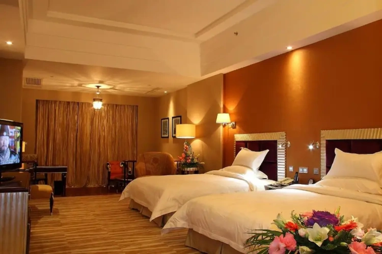 Deluxe Twin room with city view