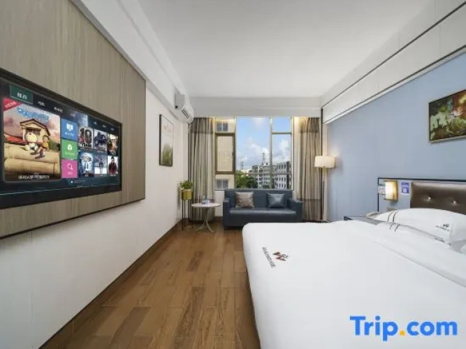 Standard Double room with city view