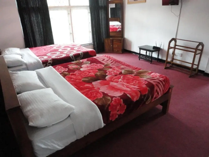 Deluxe Double room with view