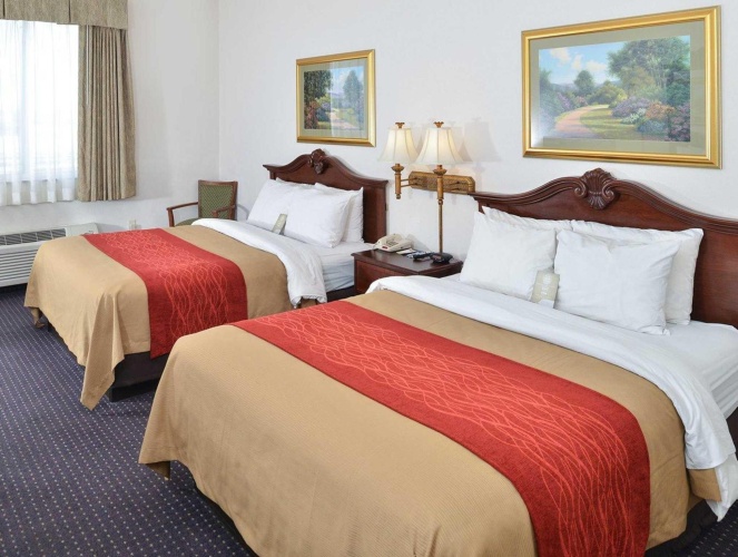 Standard Quadruple room