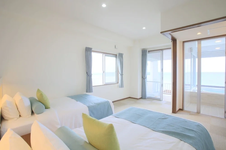 Standard Twin room with view