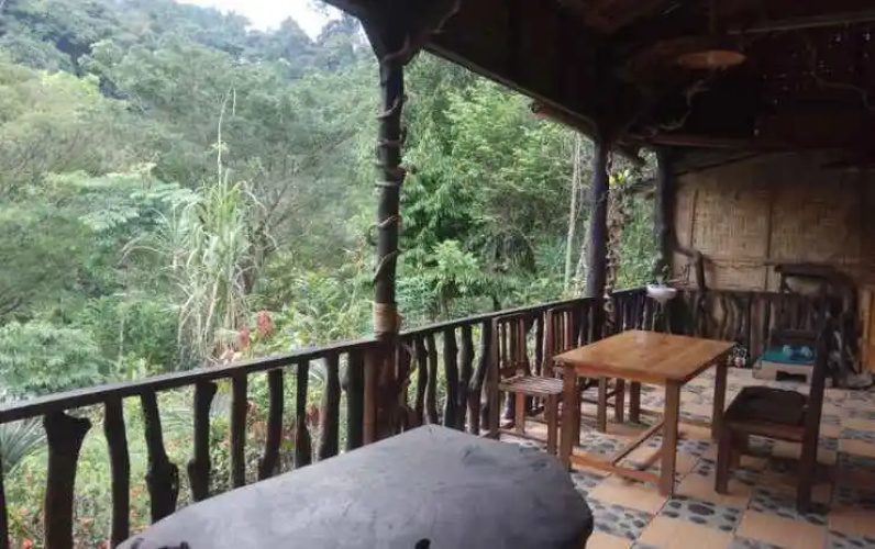 Tangkahan Inn