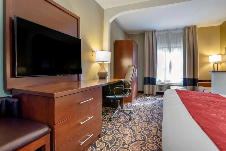 1 Bedroom Suite