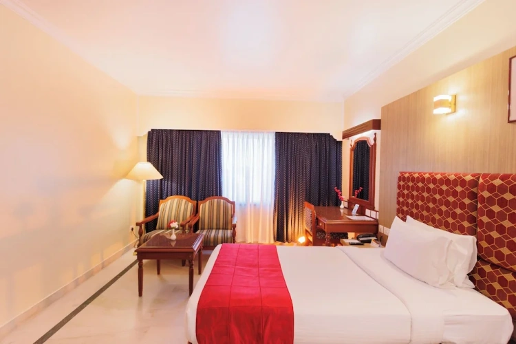 Premium Twin room with city view