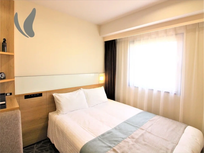 Standard Double room with view