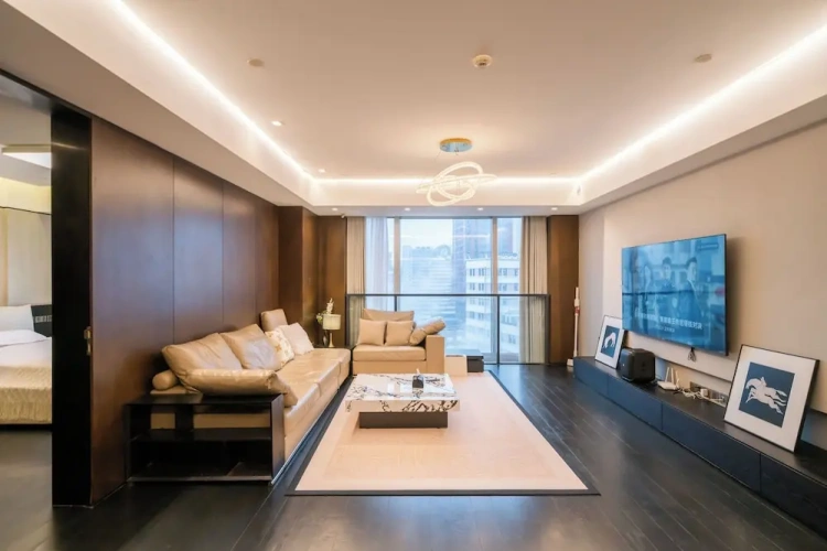 Luxury Apartment