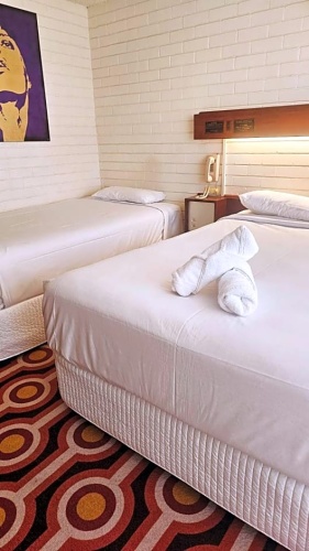 Standard Double room with balcony and with view