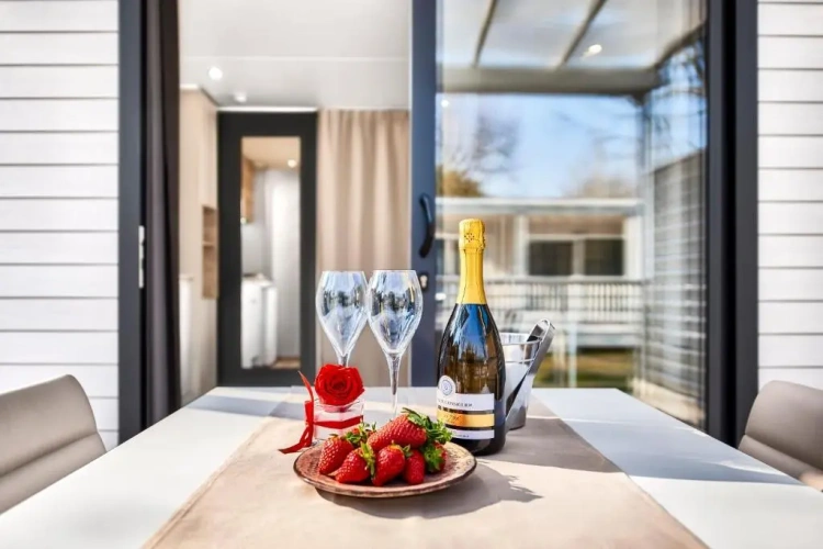 1 Bedroom Suite