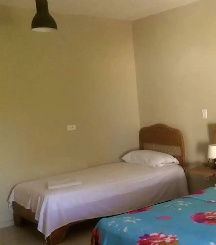 Comfort Quadruple Studio with pool view