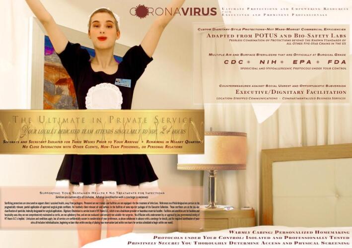 Dignitary Discretion Coachella ValleyOver view