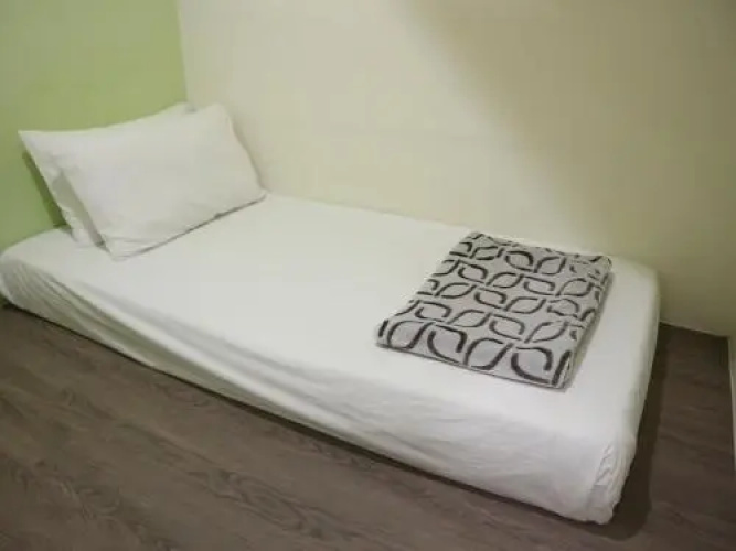 Domi 101 House