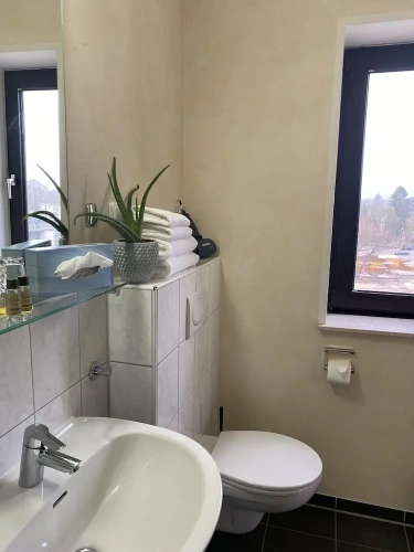Economy Double room with river view