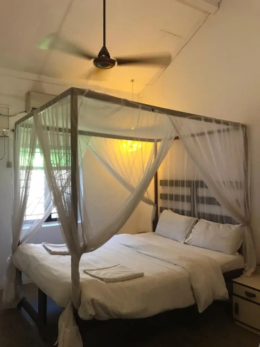 Standard Double room with view
