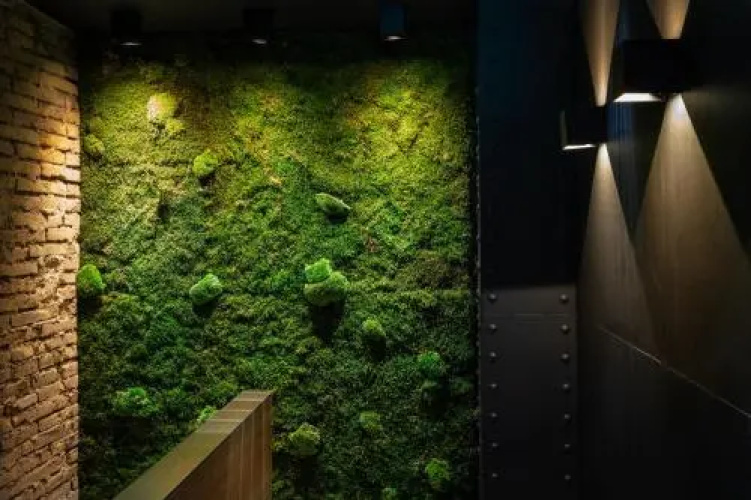 Zrooms Suites