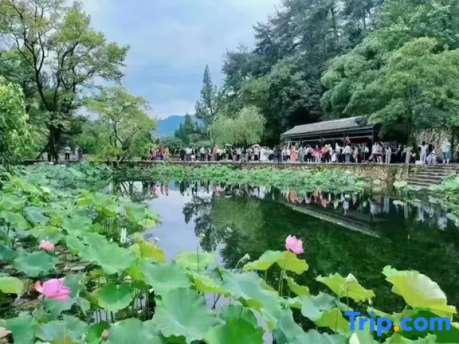 Shaoshan Shanggeyali Hotel