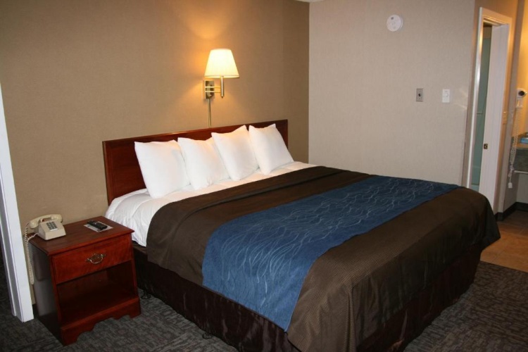 Deluxe Double Suite