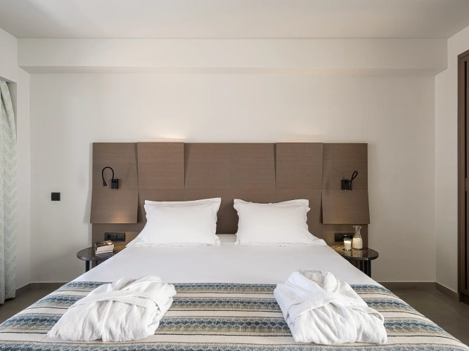 Standard Double room with garden view