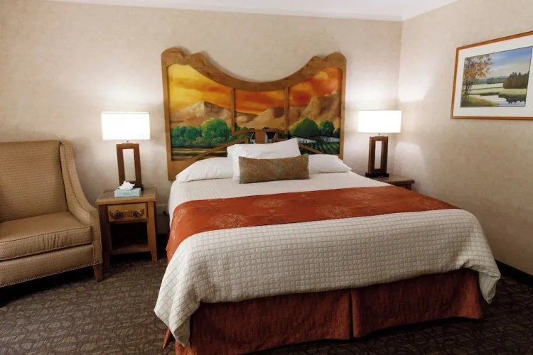 Deluxe Double Basement room