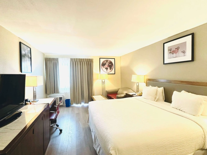 Guest rooms