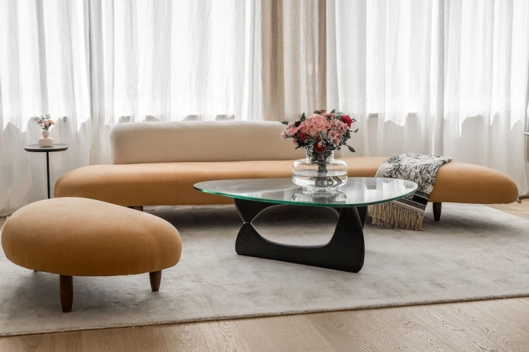 Luxury Apartment