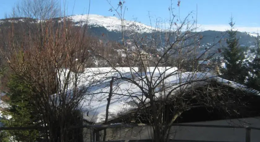 Kopaonik House