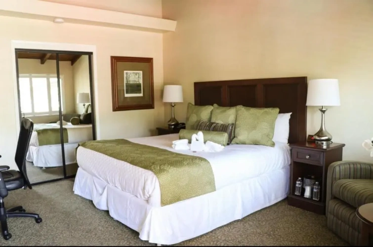 Standard Double room with pool view