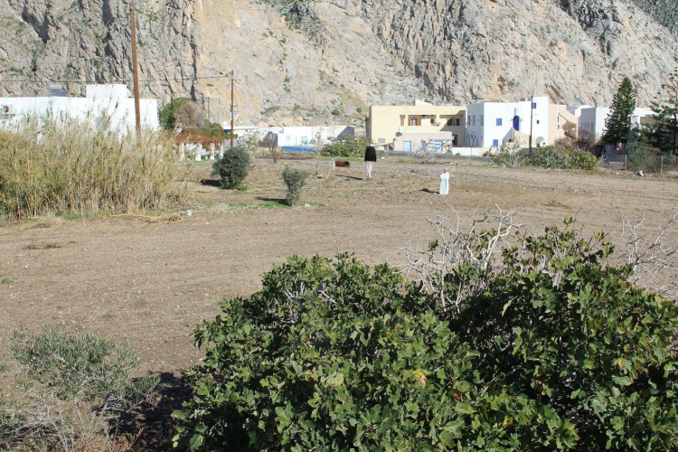 Halaris Studios
