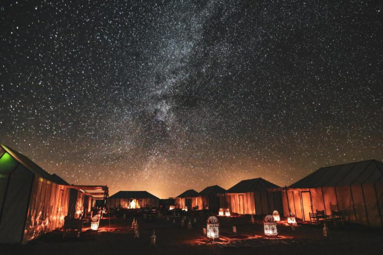 Starry Desert Nights Camp