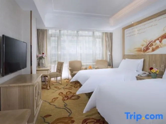 Deluxe Double Family room