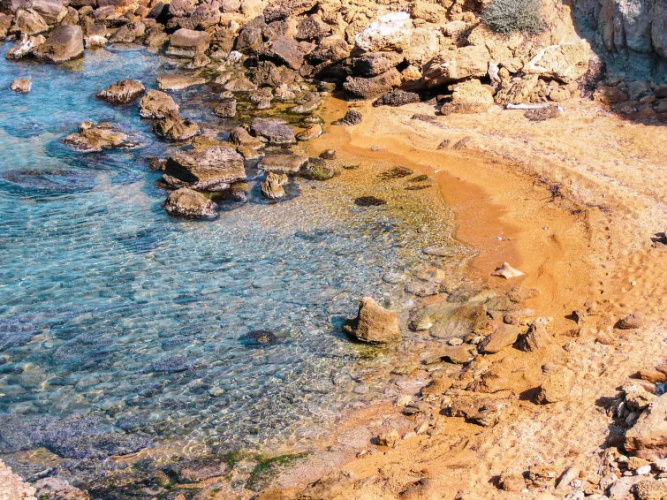 Nausica