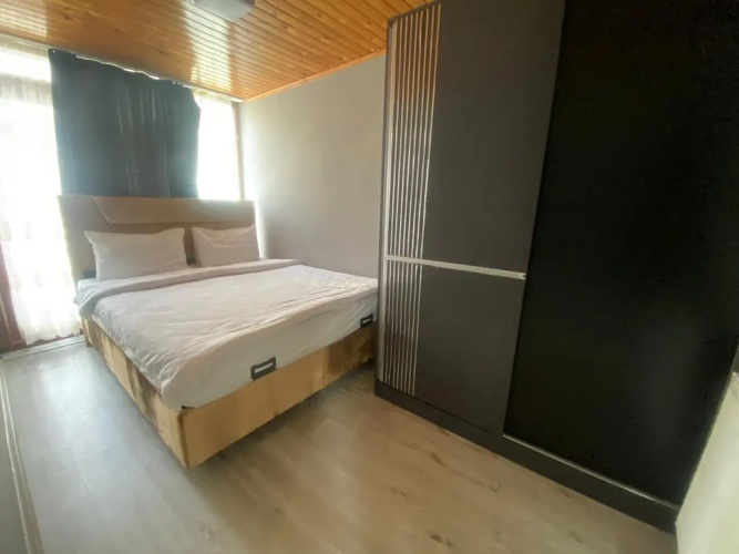 Novel Suite