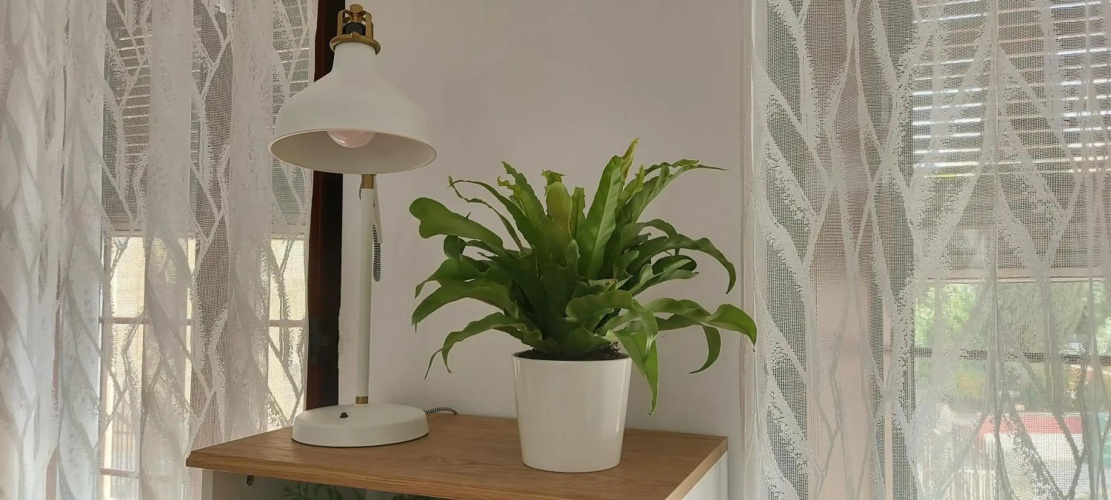 Apartamentos Los Descalzos Ángel