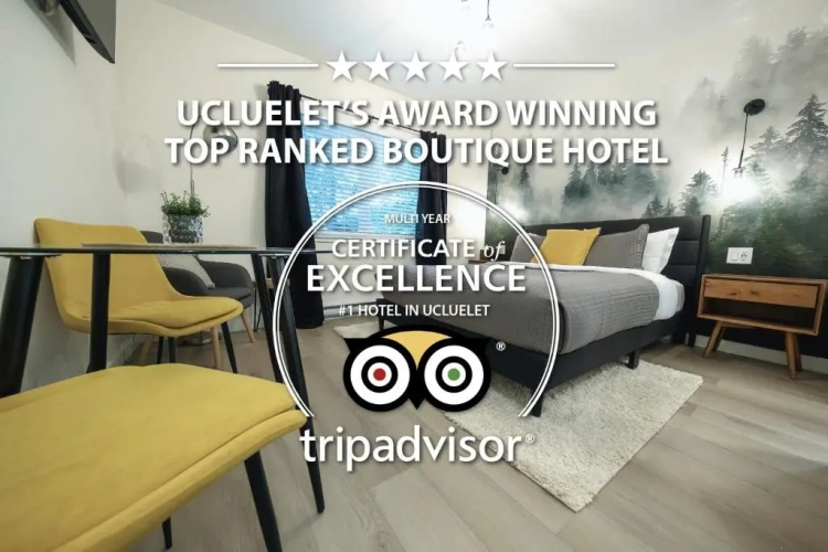 Deluxe Double Suite