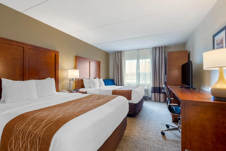 Standard Quadruple room