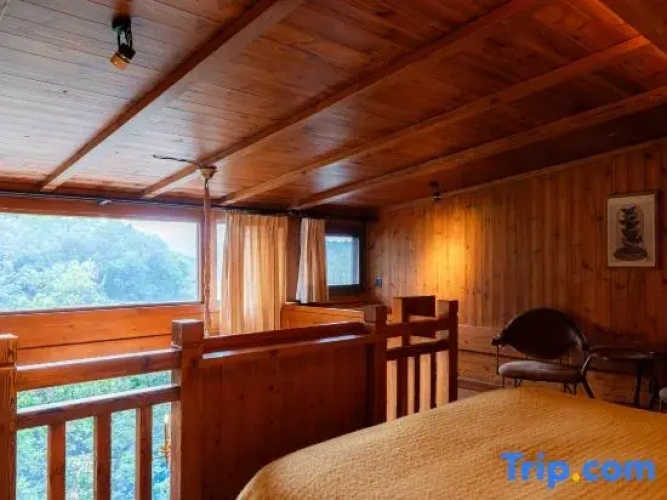 Standard Double room with mountain view