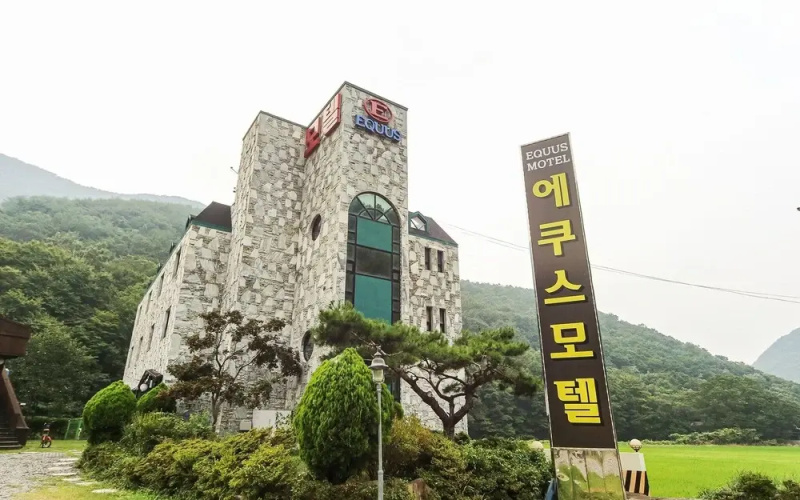 Goseong Equus
